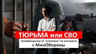 На фронт или в тюрьму? Освобождение от уголовной ответственности участников СВО