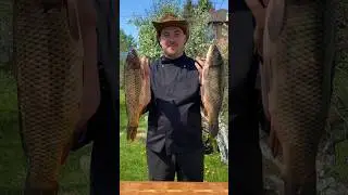 Сазан в казане 