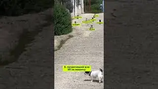 Бежать некуда…