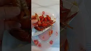 РАКИ. Как их есть ч.1