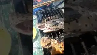 Bakar ikan diatas kapal