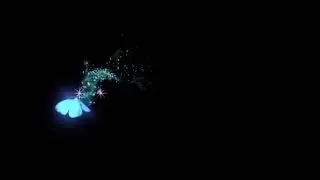 Glow Butterfly Black screen effect, No copyright - free video, NP Creative