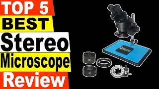 TOP 5 Best Stereo Microscope Review 2021 | Best Stereo Microscope
