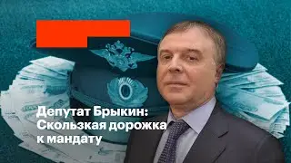 Депутат Брыкин: Скользкая дорожка к мандату