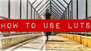Davinci Resolve Tutorial: Color Grading With LUTs