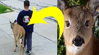 Boy Mocked Every Day For Walking Deer Until They Saw Its Eyes