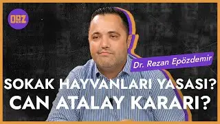 Can Atalay kararı ve sokak hayvanları yasası hukuka uygun mu? / Dr. Rezan Epözdemir ile Analiz