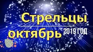 Стрельцы октябрь 2019 год
