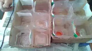 Хорошие стаканчики для рассады.