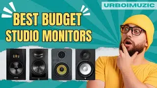 Best Budget Studio Monitors In 2024 | Hayden | Under 15000