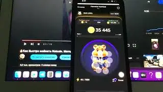 🔥Как быстро майнить Hamster Kombat. Метод работает💪 хватить тапать по экрану 😁