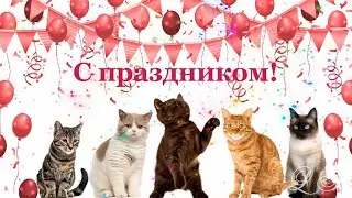 С Международным Днем кошек. Видео поздравление с днем кошек