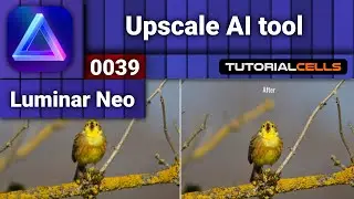 0039. Upscale AI tool  in Luminar Neo