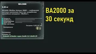 Обзор на WA2000 за 30 Секунд(Почти) (9вайп)|Mysterious Zone | STALKER RP