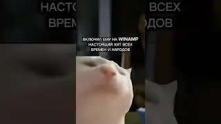 То чувство, когда племяннику нравится одна музыка, а тебе совсем другая