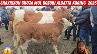 Bugun Daxshat Boldi Shaxrixon Xoldanbek CHOJA Mol Bozori 😱🔥🔥