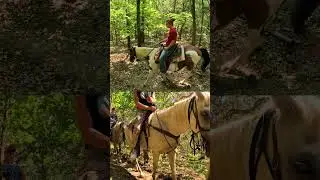 Ozark Mtn Trail Rides - Branson