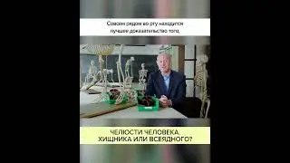 Челюсти человека: ХИЩНИКА или ВСЕЯДНОГО? Полный ролик в комментариях! 