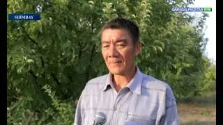 ⏺ Шымбай районы бахытлы бағманлар