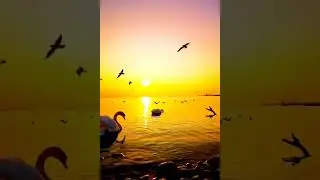 М. Осмонов  ,, КАЙЫҢДАР