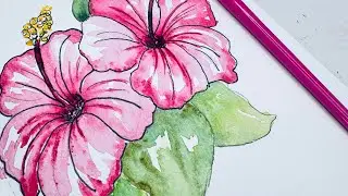 Painting hibiscus in watercolor