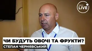 ⚡️Аграрії перед новими викликами: чи буде Україна з овочами взимку? ЧЕРНЯВСЬКИЙ | Odesa.LIVE