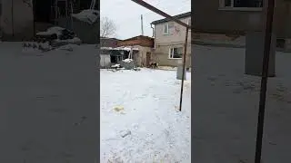 Бугай Алабай. Люблю повеселиться, особенно пожрать!