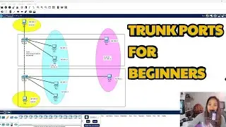 Trunk Port configuration for beginners using Packet Tracer (Homelab) + verification commands