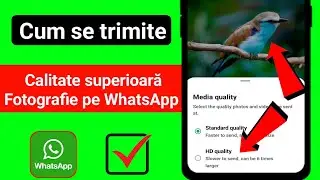 cum să trimiți fotografii de înaltă calitate pe whatsapp