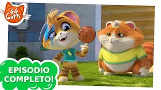 44 Gatti | EPISODIO COMPLETO | Il torneo di GattoBasket | Serie 2 Episodio 18