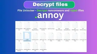 Ransomware Got You Down? Learn How to Decrypt and Restore Your Files Now .annoy