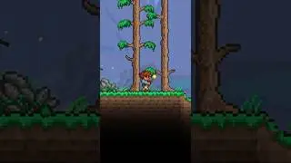 Why Terraria added Torch God