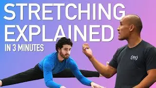 Why Stretching Works - Explained In Under 3 Minutes