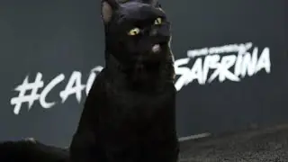 Salem in Chilling Adventures (Parody)