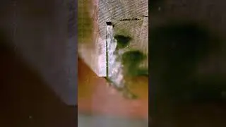 Combination vs General Purpose Table Saw Blade