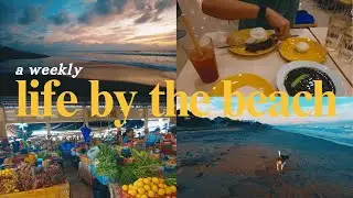 Life in #Elyu | sunday market, home-cooked meals, typhoons by the beach, morning walks 🌊