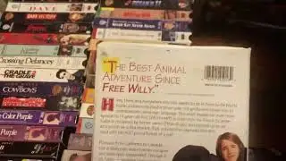 Born To Be Wild 1995 VHS