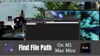 Find File Path on M1 Mac Mini (MacOS Big Sur)
