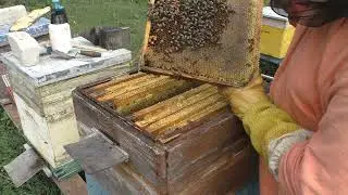 ВОТ И ВЕСЬ МЁД .