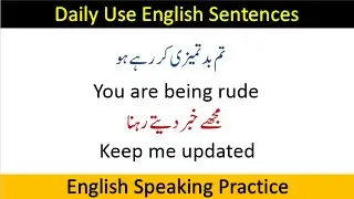 20 Daily Use English Sentences with Urdu Translation for Beginners | Speaking Practice with Saba