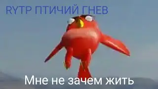 RYTP ПТИЧИЙ ГНЕВ