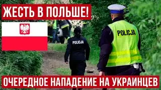 В Польше молодые украинцы гуляли в лесу и вот что получилось! Становится небезопасно!