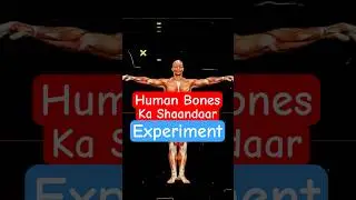 Human Bones Stronger Than Steel? 