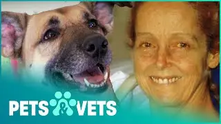 Rescue Dog Saves Her Diabetic Owners Life | Pet Heroes