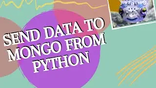 HOW TO SEND DATA TO MONGODB FROM PYTHON: USING (PyMongo) | Text FILE | PICKLE FILE | RAW STRING