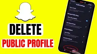 How to Delete Public Profile on Snapchat