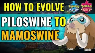 How to evolve Piloswine to Mamoswine in Pokemon Sword and Shield