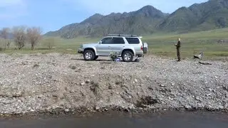 ОТДЫХ ПО-АЛТАЙСКИ. часть 1