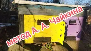 метод А. А. Чайкина