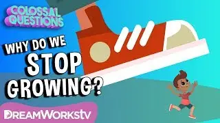 Why Do We Stop Growing? | COLOSSAL QUESTIONS | Learn 